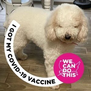 Meet your Posher, Juanita